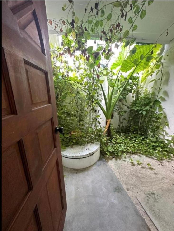 Hotel Aqua Oasis à Thoddoo Extérieur photo